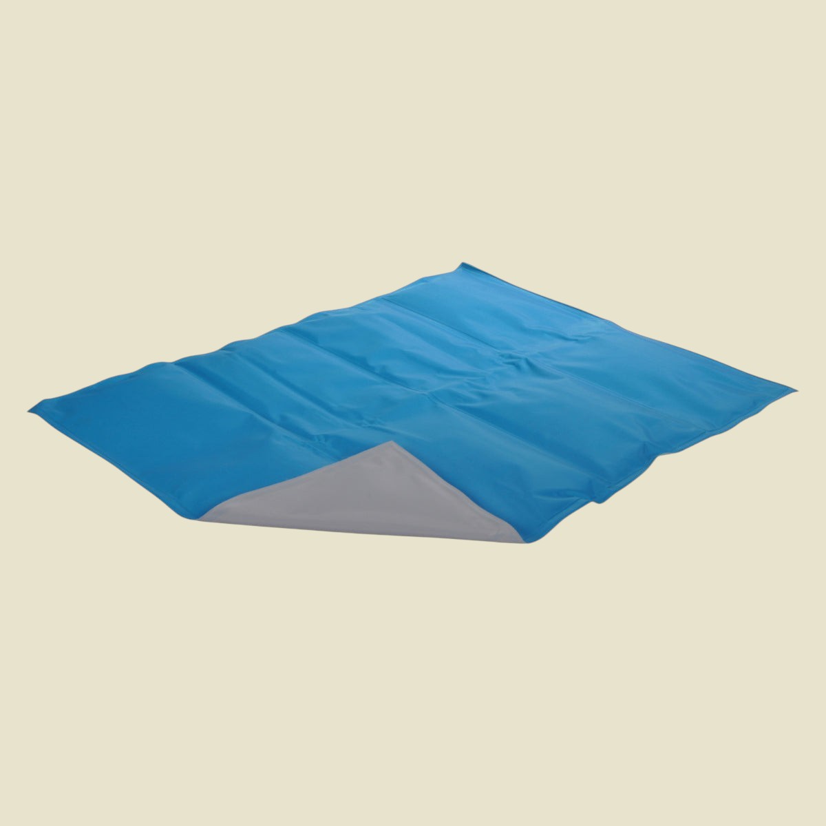 Tapis rafraîchissant bleu en PVC waterproof pour chien, avec gel intégré, 65x50cm, par Animozen