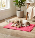 Animozen Tapis rafraîchissant pour chien rose avec motif gouttes d'eau, garni de gel non toxique. Un petit chien blanc et brun repose dessus.
