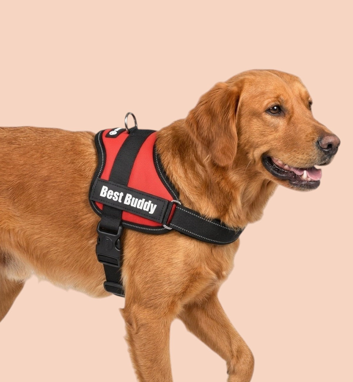 Harnais réglable pour chien Pluto rouge M