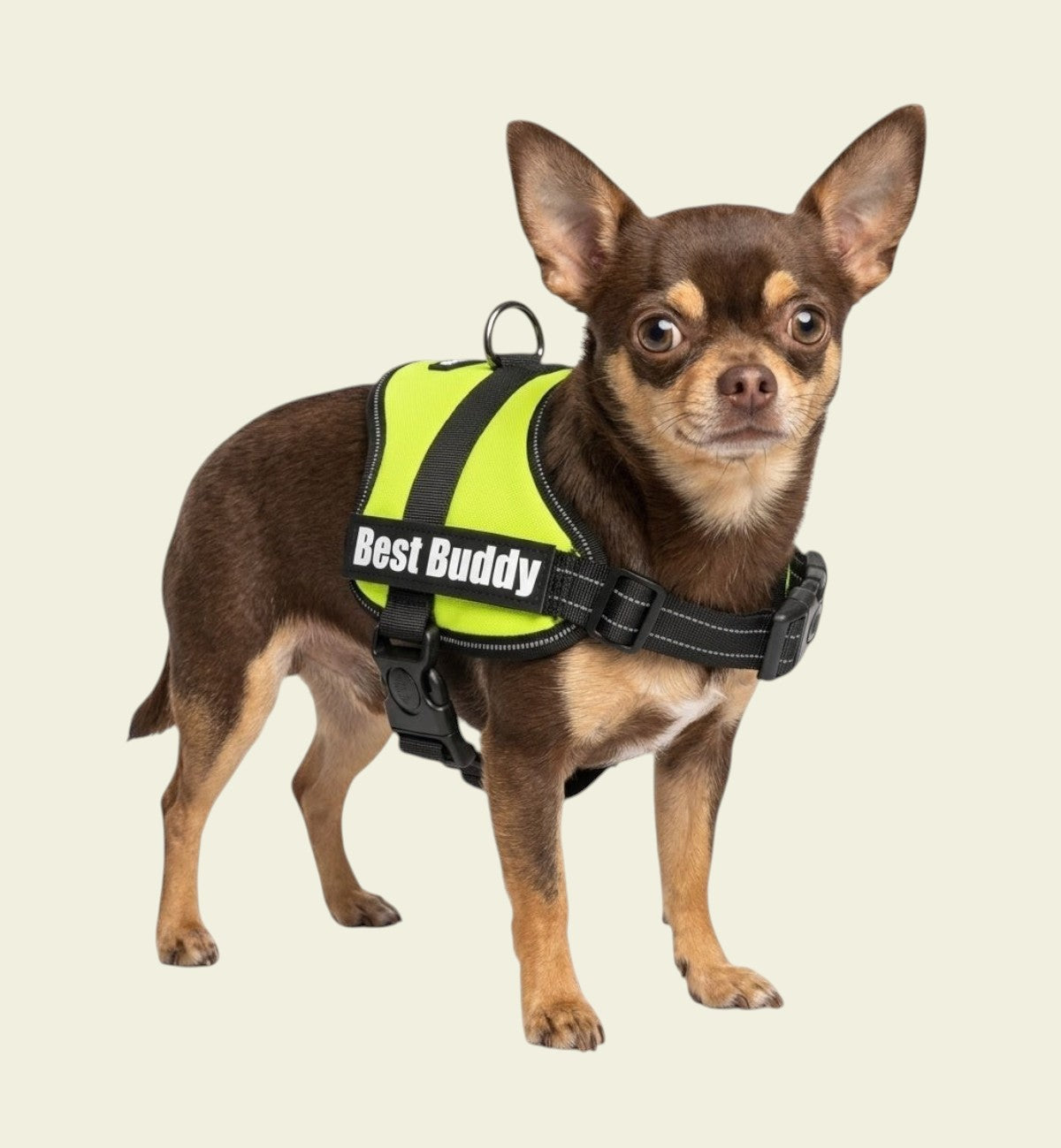 Harnais réglable pour petit chien Pluto vert fluo S