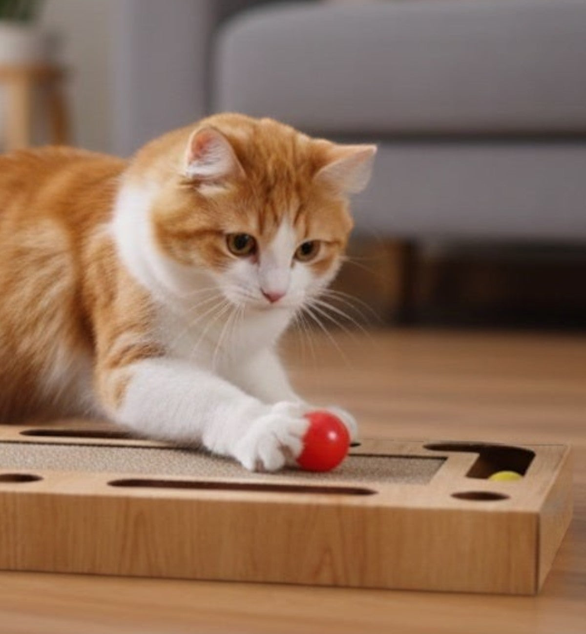 Carton et jeu à Griffer pour Chat 45 x 25 cm