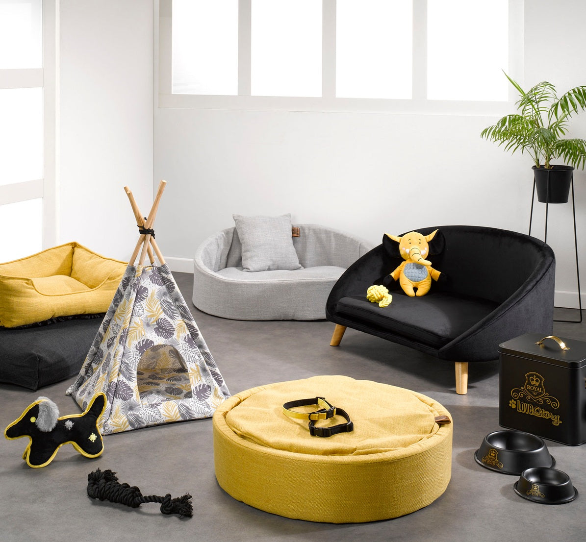 Jeu corde multi noeuds noir pour chien - vue 3