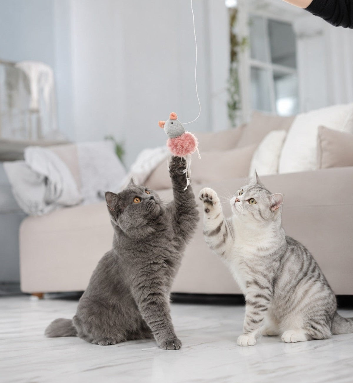 Jouet suspendu Gripi souris avec catnip Peluche pour chat