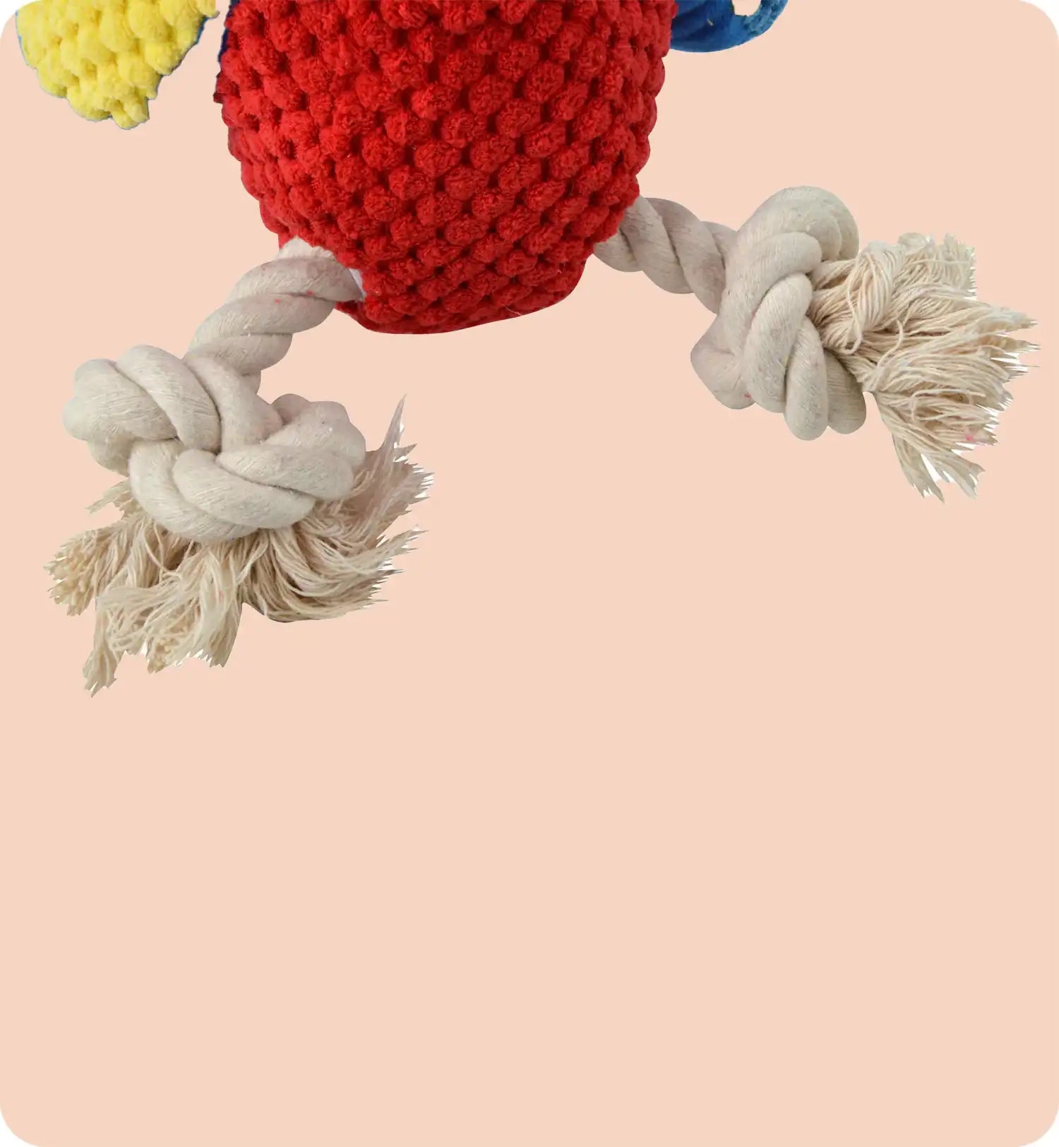Jouet peluche Mateo le perroquet corde pour chien