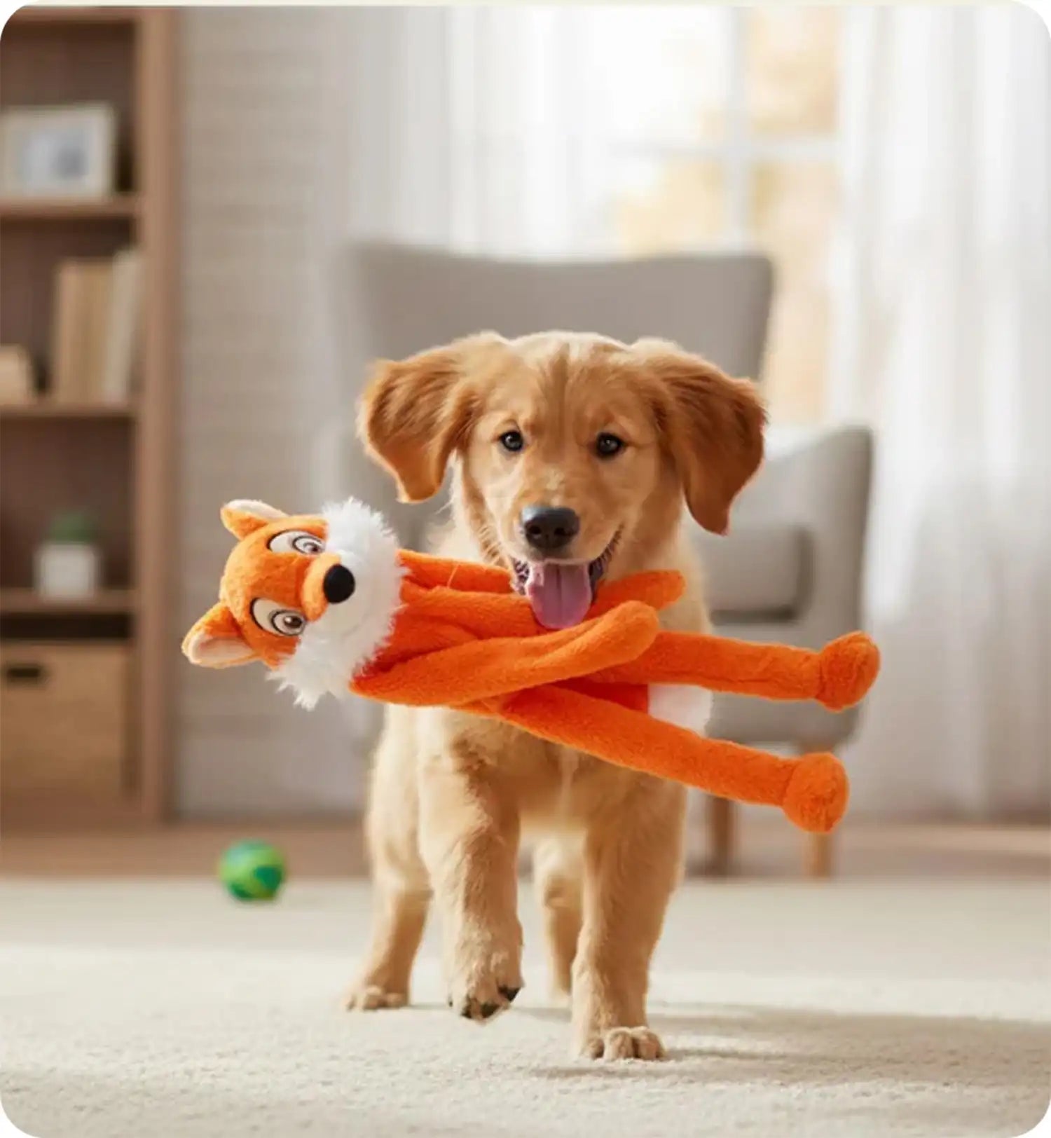 Peluche Renard grand yeux pour chien