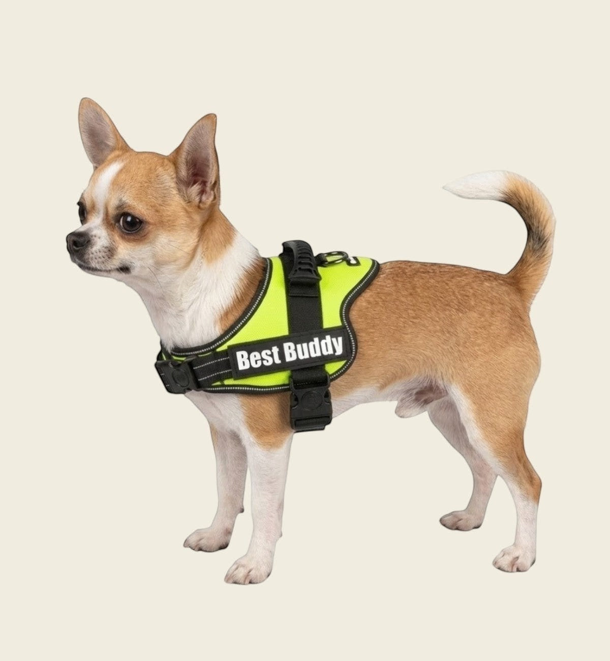 Harnais réglable pour chien Pluto vert fluo XS
